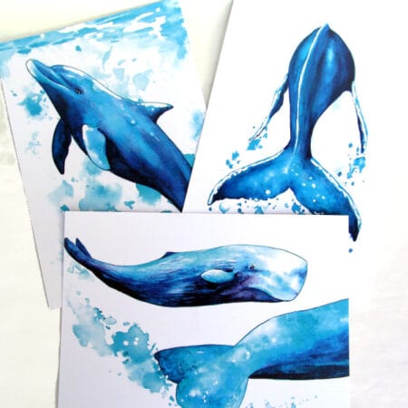 Dolphin Rising Art Print - Dolphin Research Australia.Org